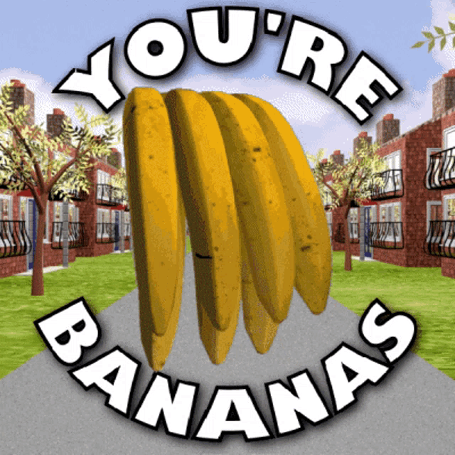 Youre Bananas You Are Bananas GIF