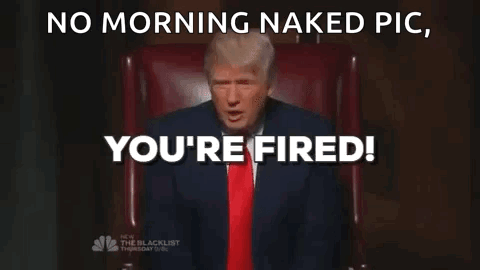 Youre Fired Donald Trump GIF