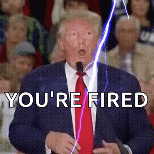 Youre Fired Donald Trump GIF
