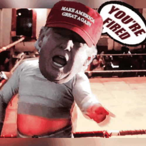 Youre Fired Donald Trump GIF
