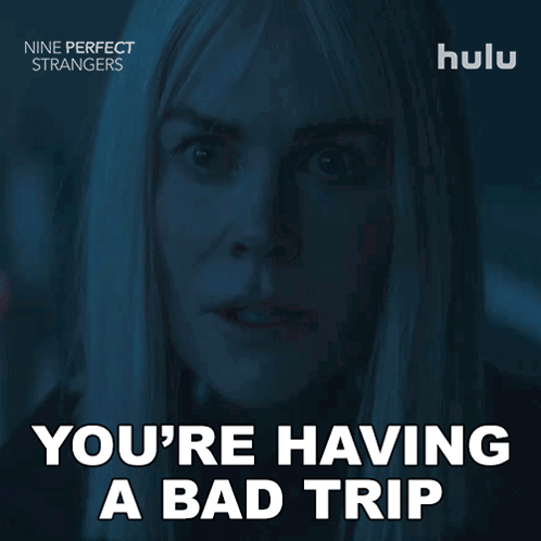 You'Re Having A Bad Trip Right Now Masha Dmitrichenko GIF