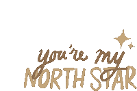 Youre My North Star Maddie And Tae Sticker