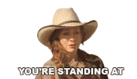 Youre Standing At The End Of Your Rope Reba Mcentire Sticker