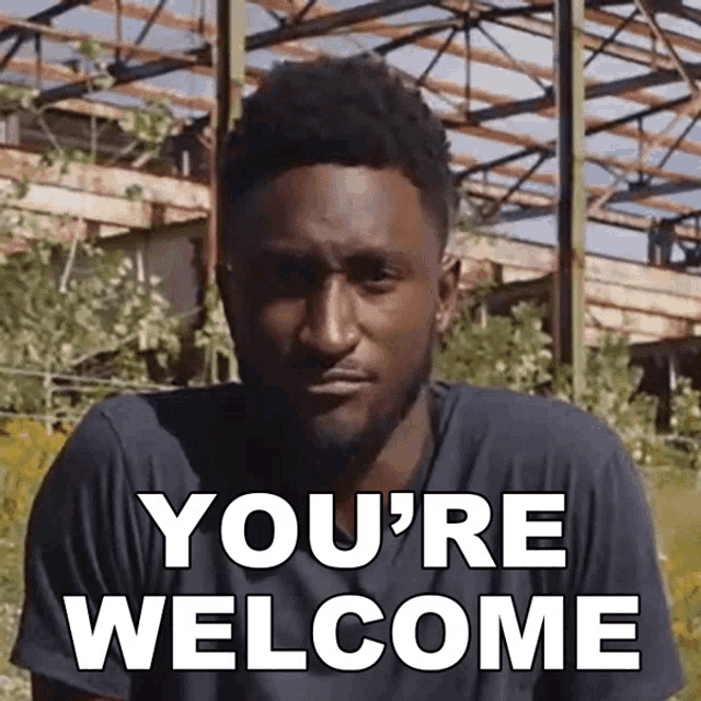 Youre Welcome Marques Brownlee GIF
