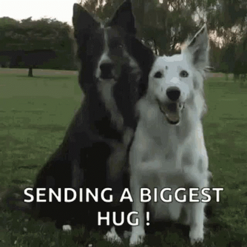 Youre Welcome GIF
