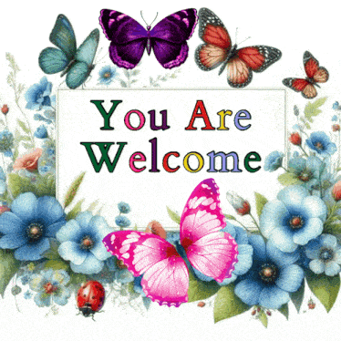 Youre Welcome Youre Very Welcome GIF