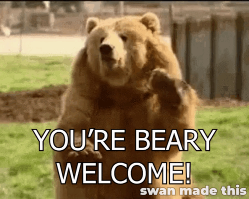 You'Rebearywelcome Bear GIF