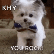 Yourock Highfive GIF