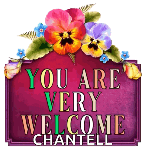 Youwelcome You Welcome GIF