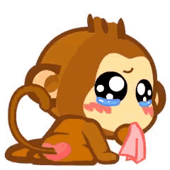 Yoyo Monkey GIF