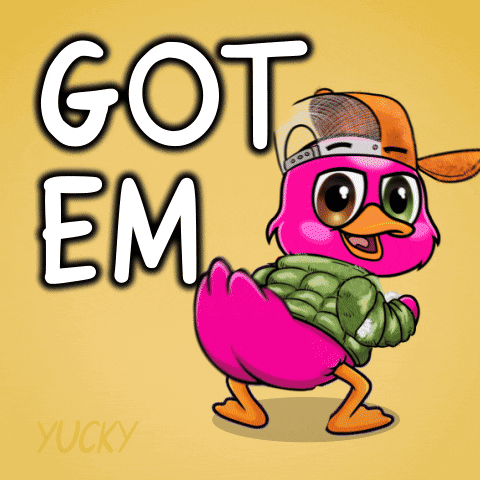 Yuckyducks Cartoon GIF