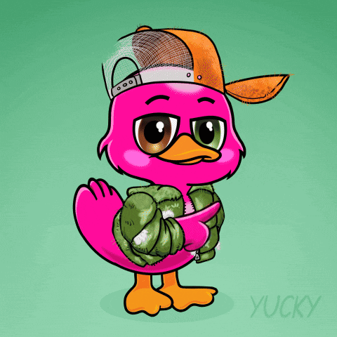 Yuckyducks Yucky Ducks GIF