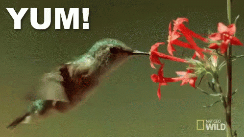 Yum! GIF