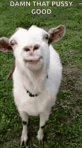 Yum GIF