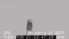 Yzma Father And Daughter GIF