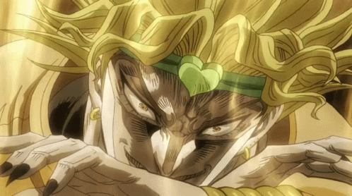Za Warudo The World GIF