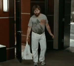 Zach Galifianakis GIF