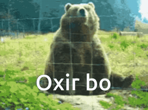 Zaza Zazaki GIF. This 498 x 370 animated GIF is part of our bear waving collection. Created by kirmancperwer. View the original animation, share it, or…