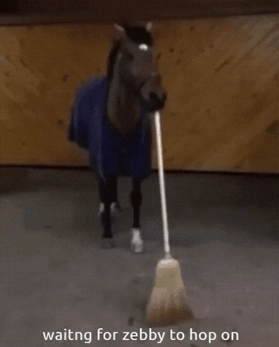 Zebby Zebbycorn GIF