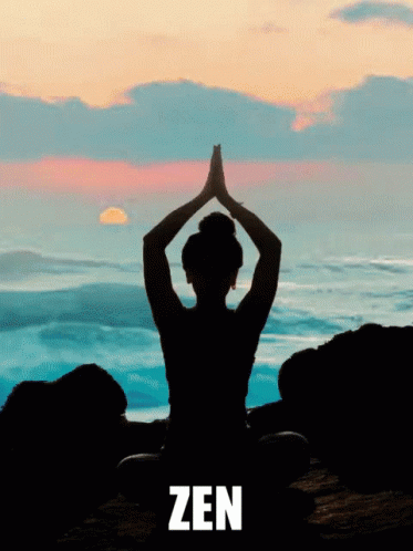 Zen Avex GIF