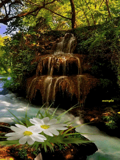 Zen Place GIF