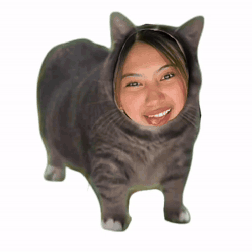Zenithhh Zen Cat GIF