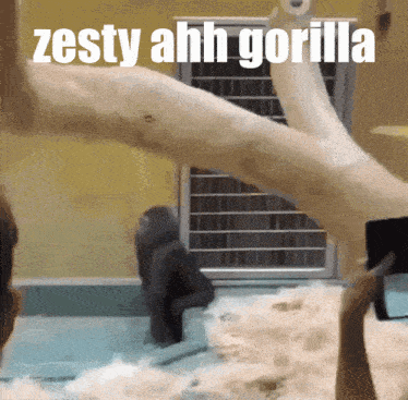 Zesty Gorilla GIF