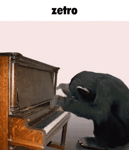 Zetro Zetropfort GIF