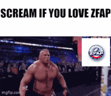 Zfap Robimyameryke GIF
