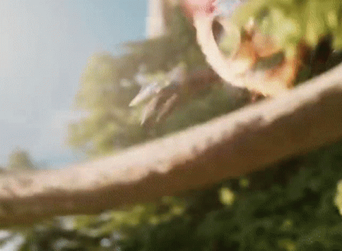 Ziggs Ziggs League Of Legends GIF