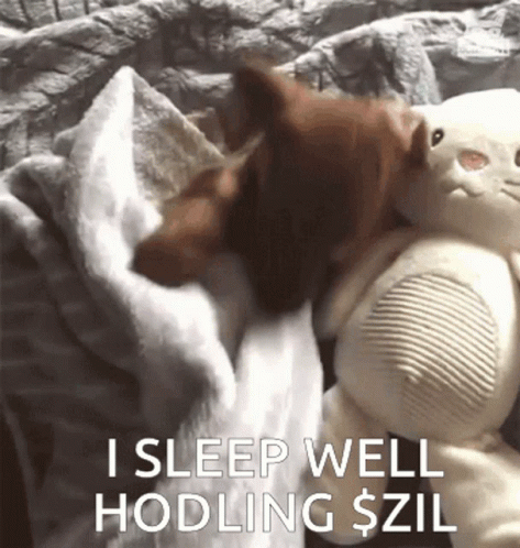 Zil Zilliqa GIF. This 473 x 498 animated GIF is part of our schlaf gut und traum was schones collection. Related themes include crypto, sleep. Created by…