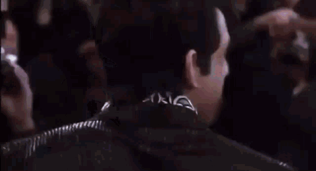 Zoo Lander Owen Wilson GIF