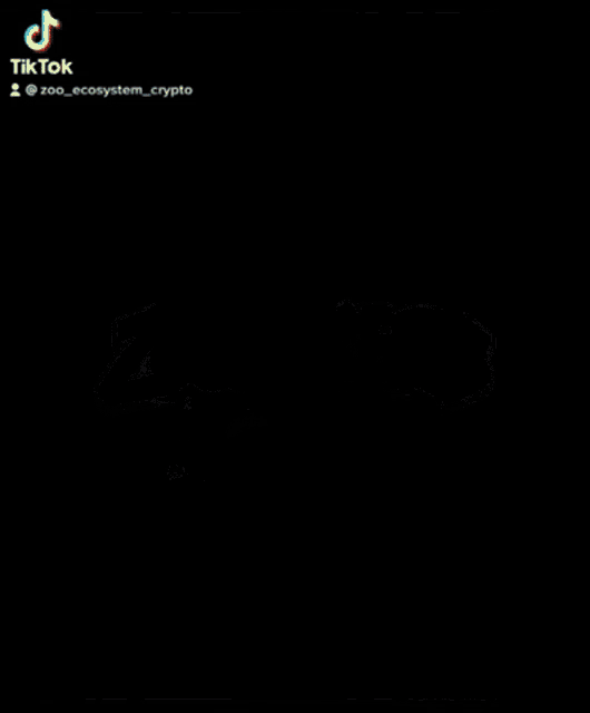 Zooecosystem Zooracers GIF