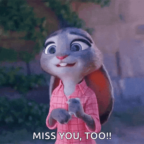 Zootopia Bunny GIF