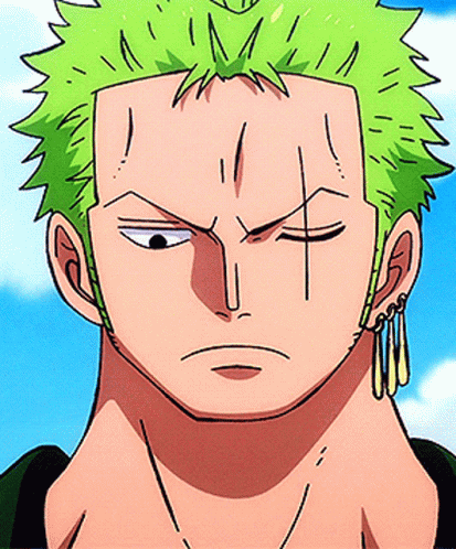 Zoro Roronoa GIF