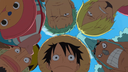 Zoro Roronoa Zoro GIF