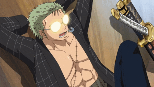 Zoro Roronoa Zoro GIF