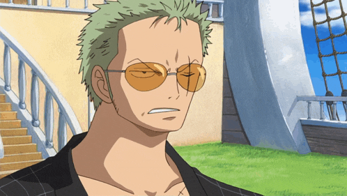 Zoro Roronoa Zoro GIF