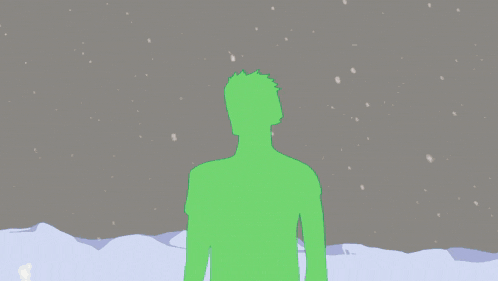 Zoro Roronoa Zoro GIF