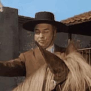 Zorro Bernardo GIF