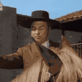 Zorro Bernardo GIF