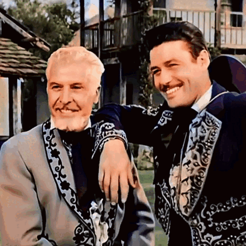 Zorro El Zorro GIF