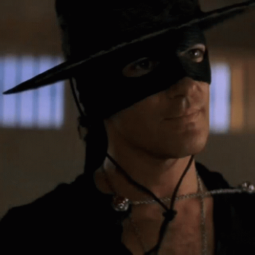 Zorro Handsome GIF