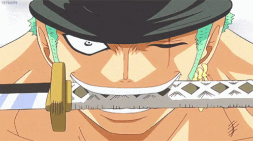 Zorro GIF