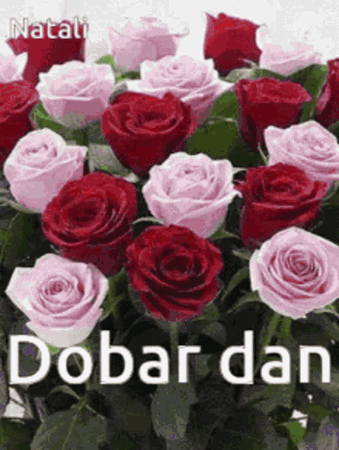 Zvrcka GIF