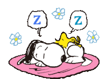 Zzz Sleeping Sticker