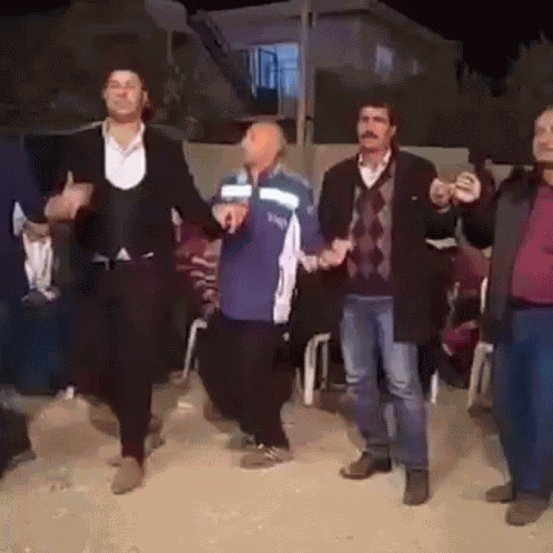 çılgın çılgın Halaycı GIF