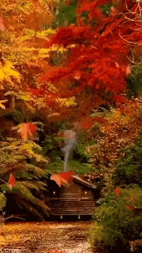 őszi Kuckó GIF
