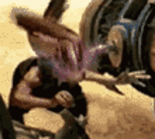ααααα Aaaaaaa GIF
