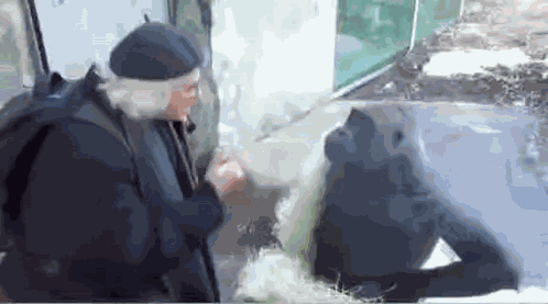 идиот Riseil GIF